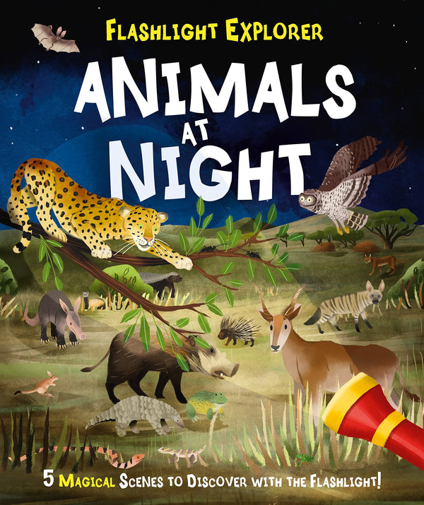Flashlight Explorers : Animals at Night