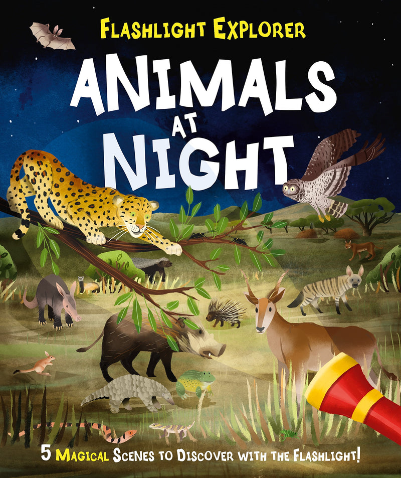 Flashlight Explorers : Animals at Night